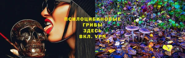 гашик Карталы