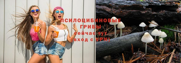 гашик Карталы
